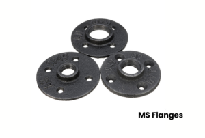 ms flanges